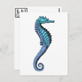 Carte Postale Seahorse (Devant / Derrière)