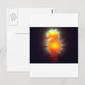 Carte Postale Seahorse (Devant / Derrière)