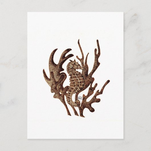 Carte Postale Seahorse (Devant)