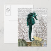 Carte Postale SeaHorse et SeaUrchins 2 (Devant / Derrière)