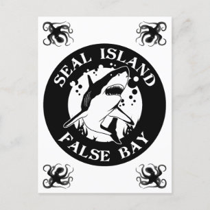 Carte Postale Seal Island False Bay - Plongée sous-marine avec r