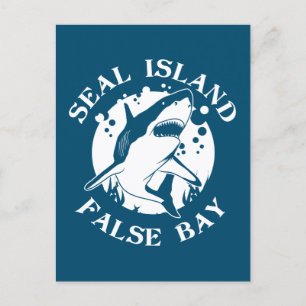 Carte Postale Seal Island False Bay - Plongée sous-marine avec r