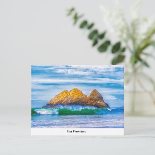Carte postale Seal Rock (Debout devant)