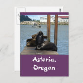 Carte Postale Sealions Astoria Oregon (Devant / Derrière)