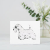 Carte Postale Sealyham Terrier (Debout devant)