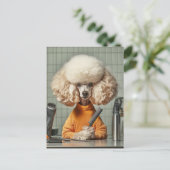 Carte Postale Séance De Grooming De Poodle (Debout devant)