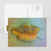 Carte postale SEASHELL (Devant / Derrière)