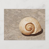 Carte Postale SeaShell (Devant)