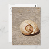 Carte Postale SeaShell (Devant / Derrière)