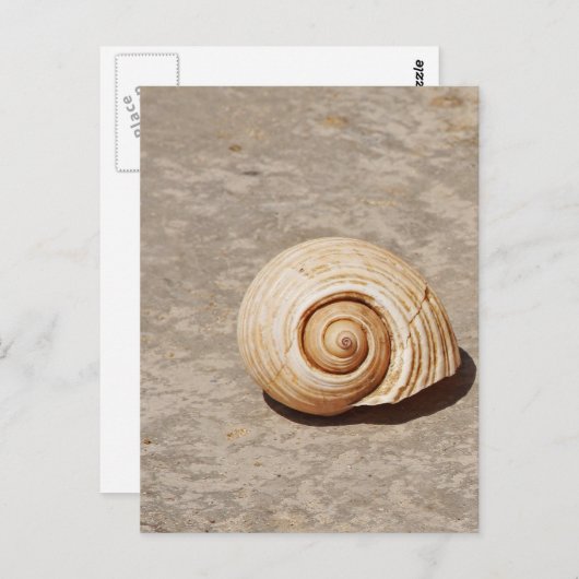 Carte Postale SeaShell (Devant / Derrière)
