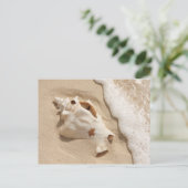 Carte Postale Seashell | Grand Turk Caribbean Island (Debout devant)