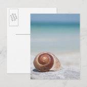 Carte Postale Seashell Saint-Pétersbourg (Devant / Derrière)