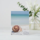 Carte Postale Seashell Saint-Pétersbourg (Debout devant)