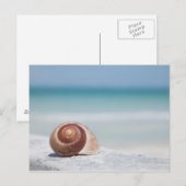 Carte Postale Seashell | Saint-Pétersbourg, Floride (Devant / Derrière)