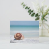 Carte Postale Seashell | Saint-Pétersbourg, Floride (Debout devant)