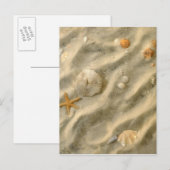 Carte Postale Seashells (Devant / Derrière)