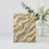 Carte Postale Seashells (Debout devant)