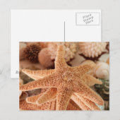 Carte Postale Seashells for sale Zihuatanejo, Mexique (Devant / Derrière)