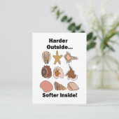 Carte Postale Seashells Hard Outside Soft Inside Attitude Quote (Debout devant)