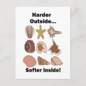 Carte Postale Seashells Hard Outside Soft Inside Attitude Quote (Devant)