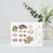 Carte postale Seashore Life (Debout devant)