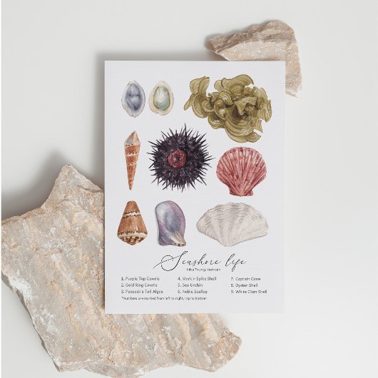 Carte postale Seashore Life