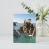 Carte Postale Seastack, Samuel Boardman, Brookings, (Debout devant)