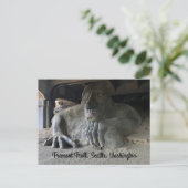 Carte postale Seattle Fremont Troll #1 (Debout devant)