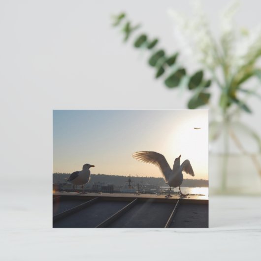 Carte Postale Seattle Seagull (Debout devant)