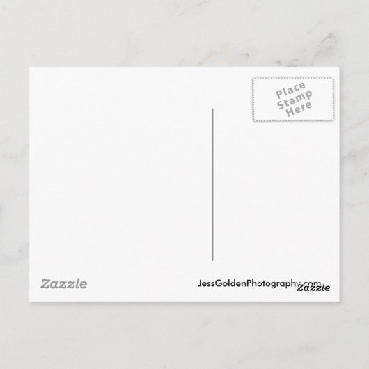 Carte Postale Seattle Seagull (Dos)