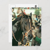 Carte Postale Seattle Slew Thoroughbred 1978 (Devant / Derrière)