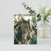 Carte Postale Seattle Slew Thoroughbred 1978 (Debout devant)