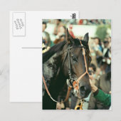 Carte Postale Seattle Slew Thoroughbred 1978 (Devant / Derrière)