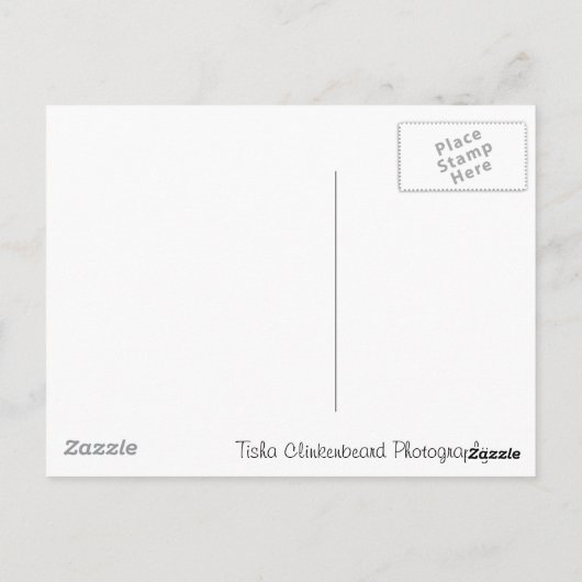 Carte Postale Seattle, WA (Dos)