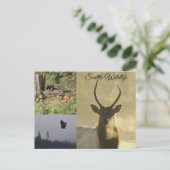 Carte Postale Seattle Wildlife (Debout devant)