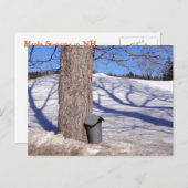 Carte Postale Seaux de sève de sucre d'érable de NH dans la (Devant / Derrière)