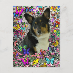 Carte Postale Sebastian le Corgi gallois aux papillons