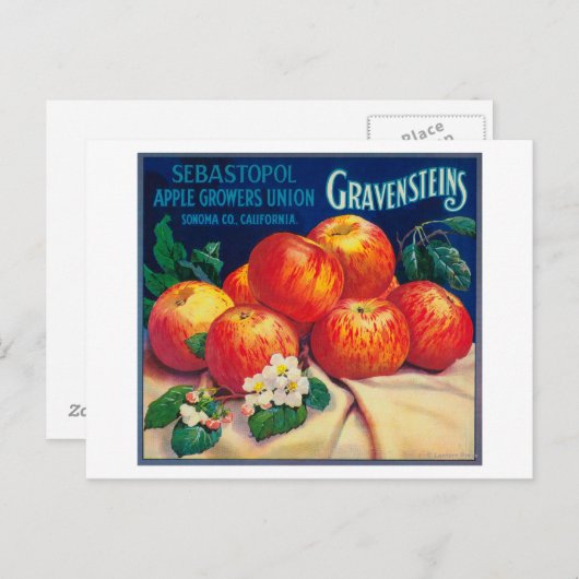 Carte Postale Sebastopol Gravensteins Apple LabelSonoma, CA (Devant / Derrière)