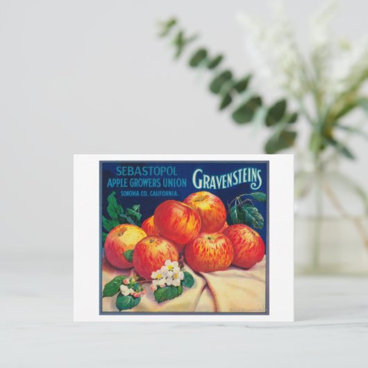 Carte Postale Sebastopol Gravensteins Apple LabelSonoma, CA (Debout devant)