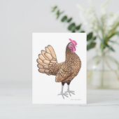 Carte postale Sebright Bantam Rooster (Debout devant)