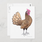 Carte postale Sebright Bantam Rooster (Devant / Derrière)