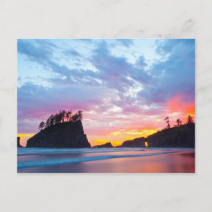 Carte Postale Second Beach au coucher du soleil, Washington