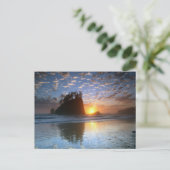 Carte Postale Second Beach, La Push, coucher de soleil, (Debout devant)