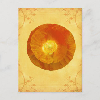 Carte Postale Second Chakra Gifts