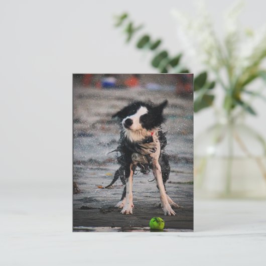 Carte Postale Secoue-le ! (Debout devant)