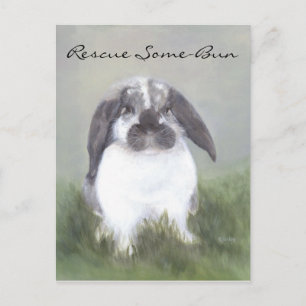 Carte postale Secourt lapin