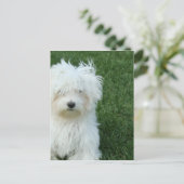 Carte postale Secourt maltaise (Debout devant)