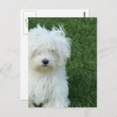 Carte postale Secourt maltaise (Devant / Derrière)