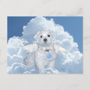 Carte Postale Secourt maltaise Angel