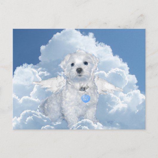 Carte Postale Secourt maltaise Angel (Devant)